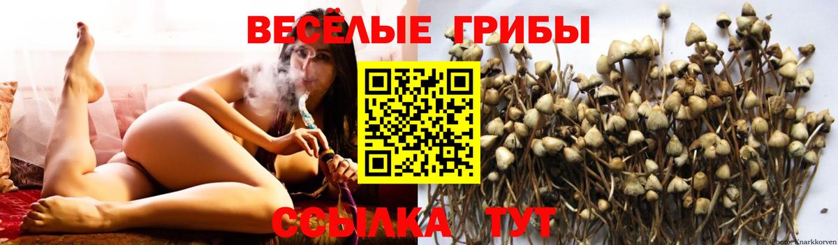 Псилоцибиновые грибы MAGIC MUSHROOMS Кунгур